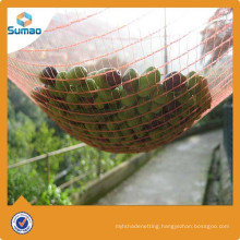 Pe netting for olive tree from Changzhou